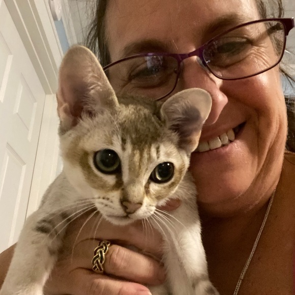 Meet your Posher, Elizabeth - Picture 3 of 7